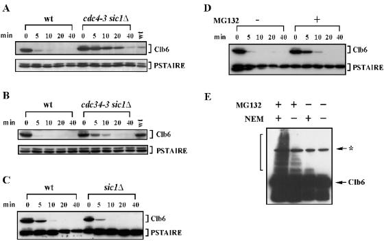 FIG. 3.