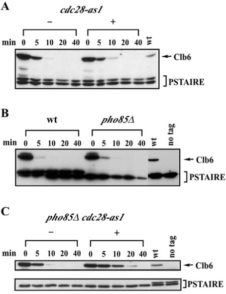 FIG. 5.