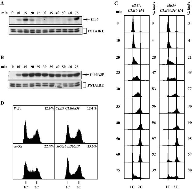 FIG. 6.