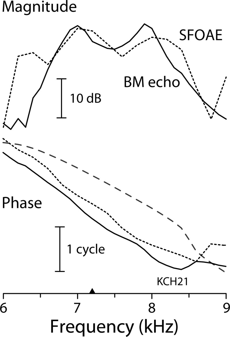 FIG. 10.