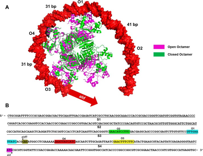 FIGURE 10.