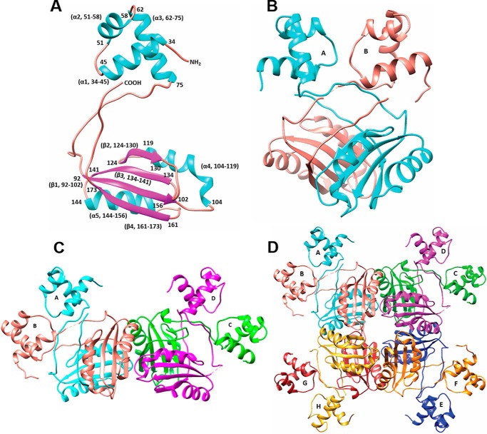 FIGURE 1.