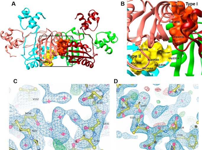 FIGURE 2.