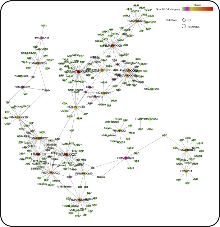 FIGURE 12