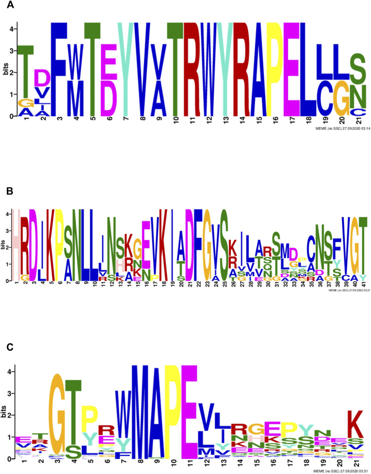 FIGURE 3