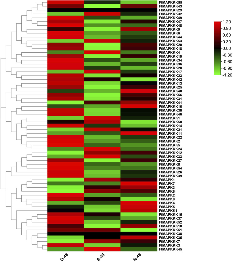 FIGURE 7