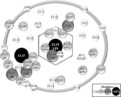 FIG. 8.