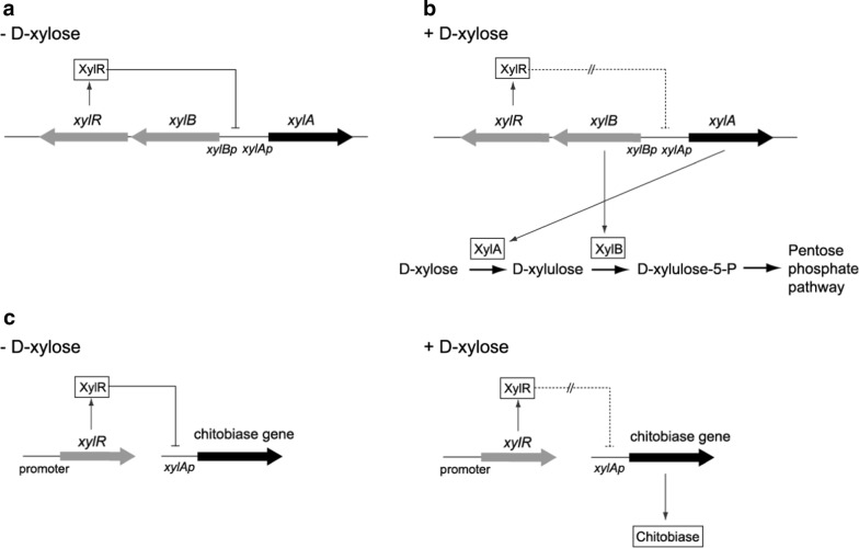 Fig. 3