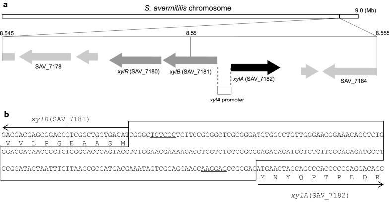 Fig. 2