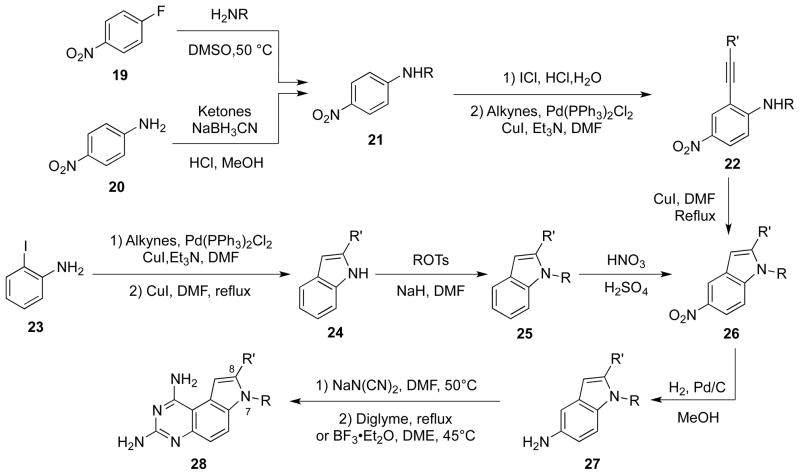 Scheme 5