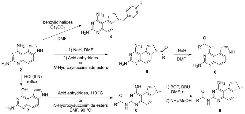 Scheme 2