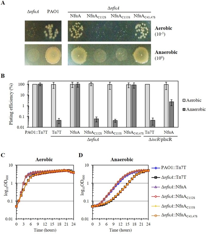 Fig 6