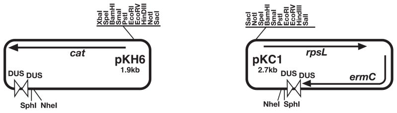 Figure 4A.2.1