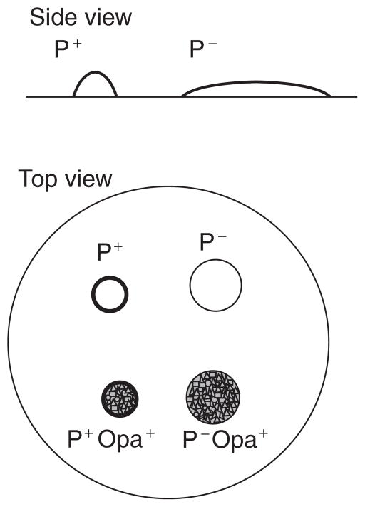 Figure 4A.2.3