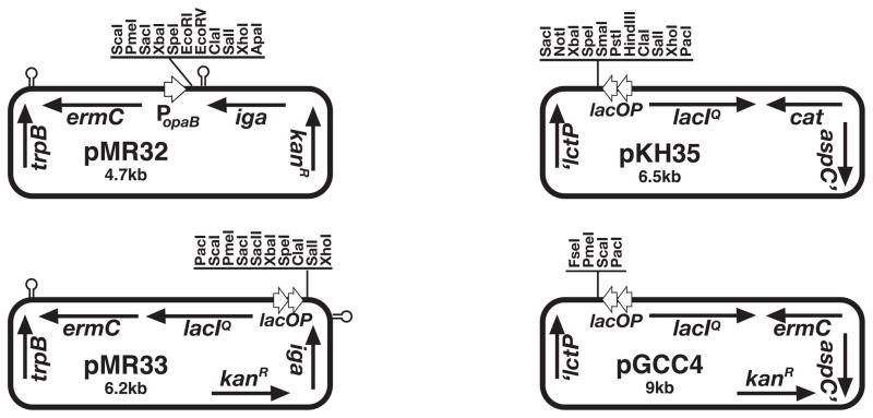 Figure 4A.2.2