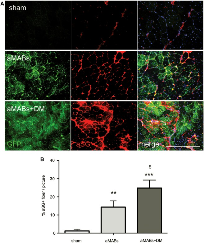 Figure 6