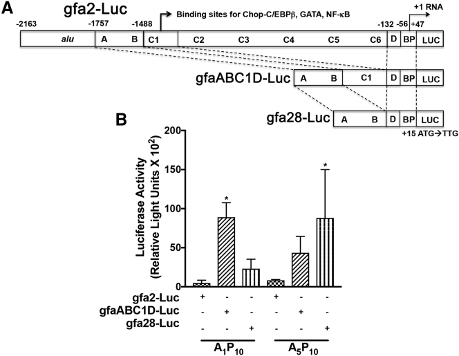 Figure 6