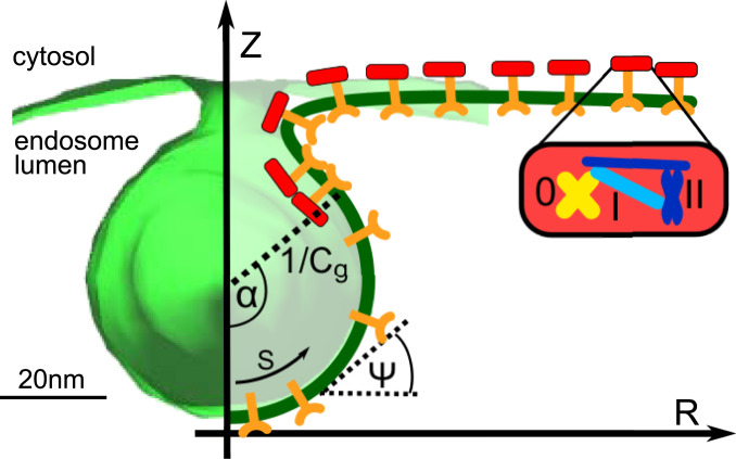 Fig. 2.