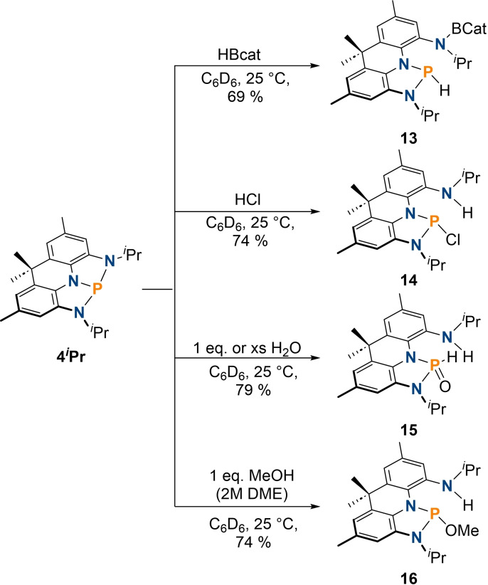 Scheme 4