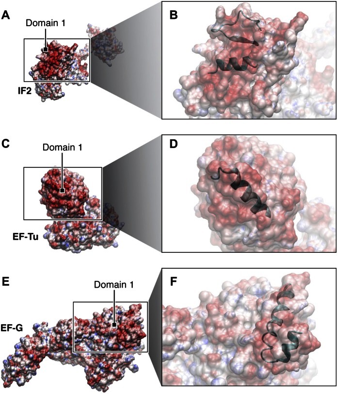 Figure 10—figure supplement 1.