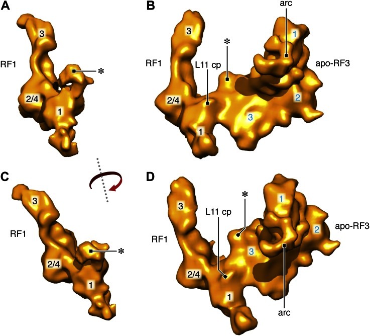 Figure 2—figure supplement 3.