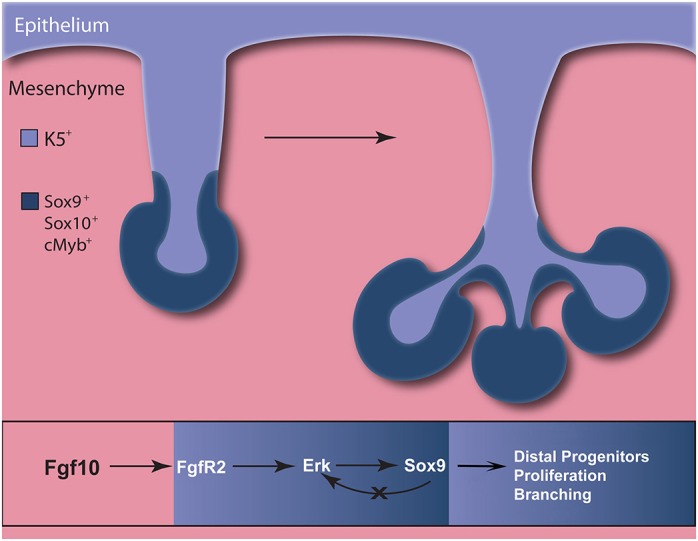 Fig. 10.