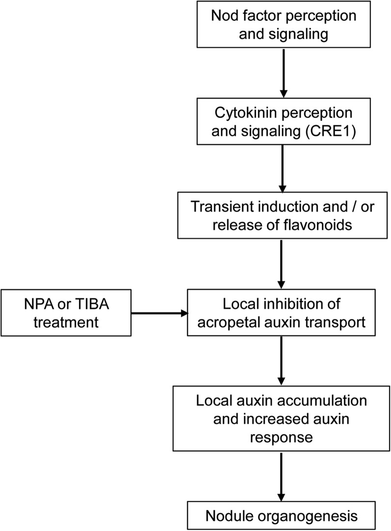 Figure 10.