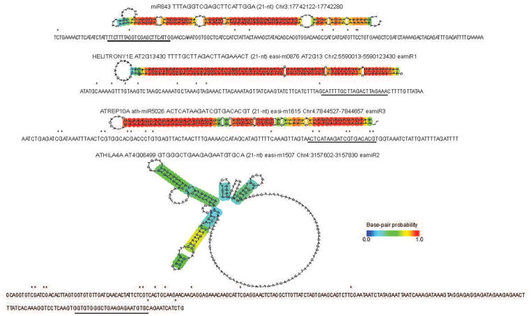 Extended Data Figure 4