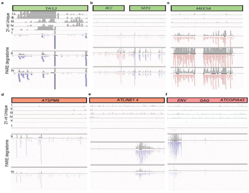 Extended Data Figure 2