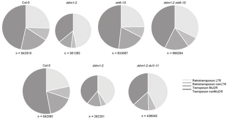 Extended Data Figure 5