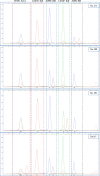 Figure 1
