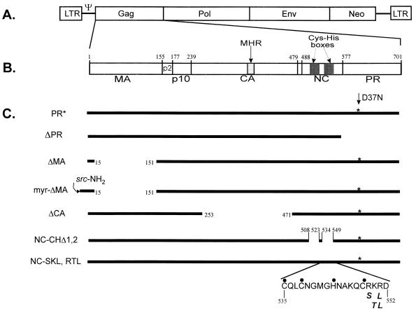 FIG. 1