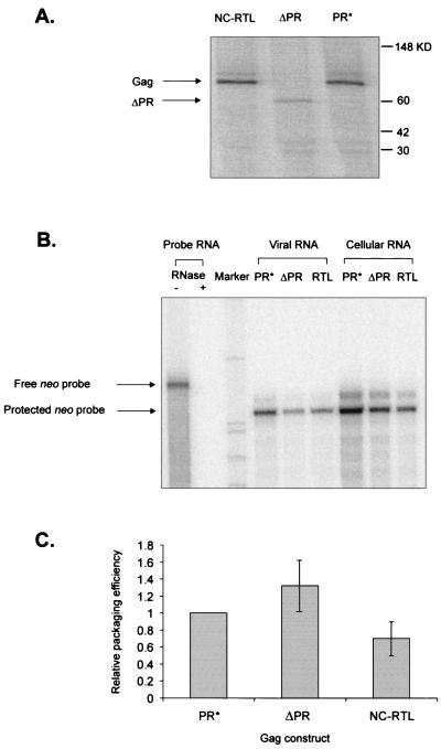 FIG. 5