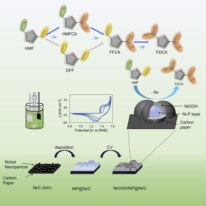 graphic file with name fx1.jpg