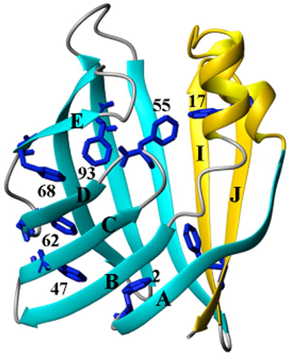 Fig.1