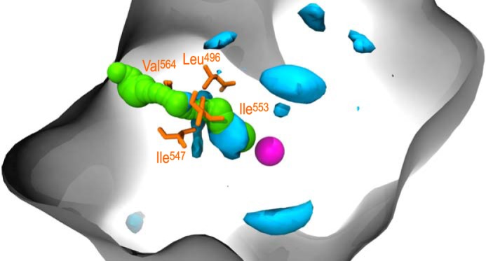 FIGURE 3.