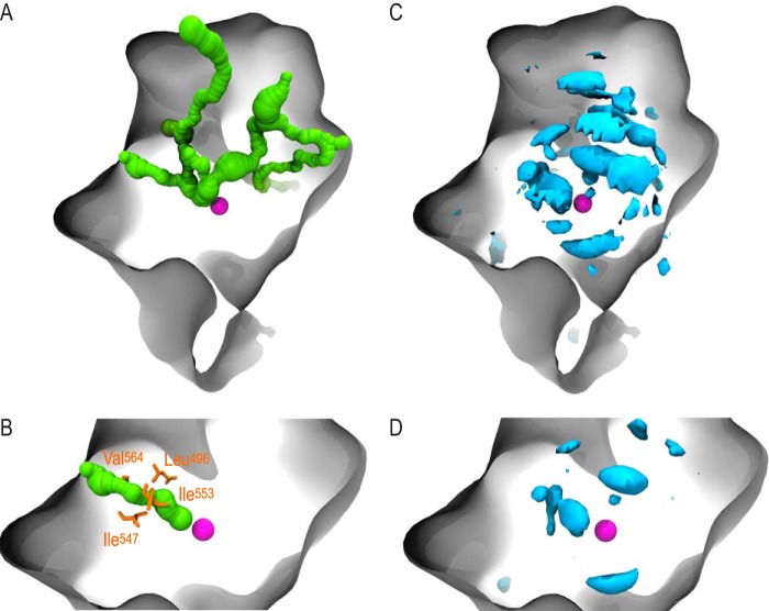 FIGURE 2.