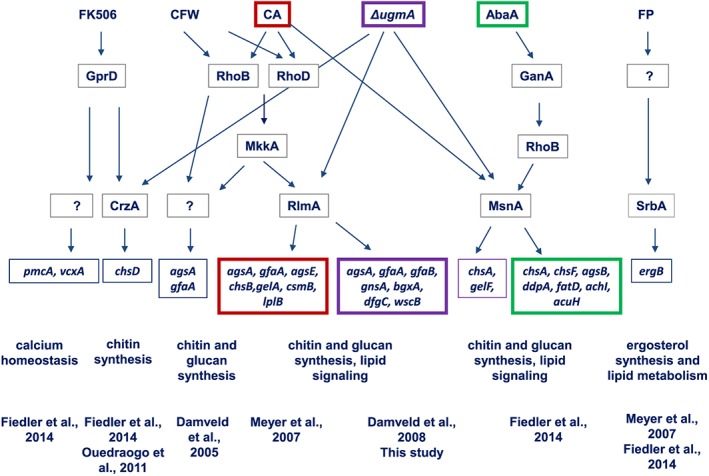 Figure 6