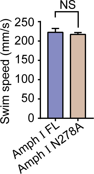 Figure 7—figure supplement 1.