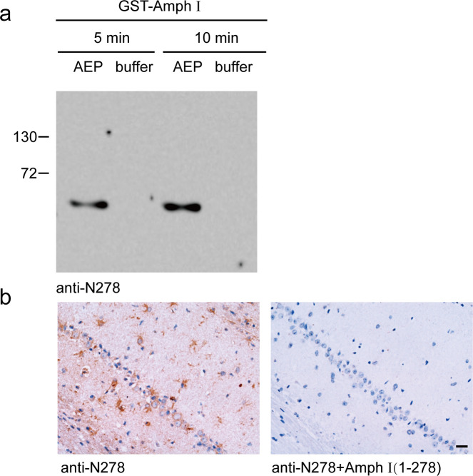 Figure 2—figure supplement 1.