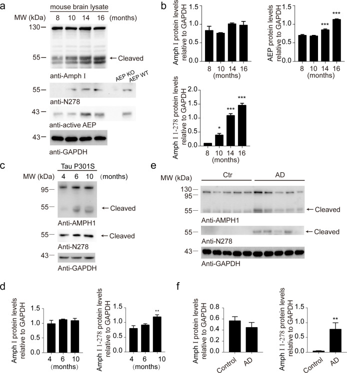 Figure 2—figure supplement 2.