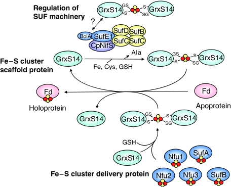 Figure 9