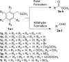 SCHEME 2