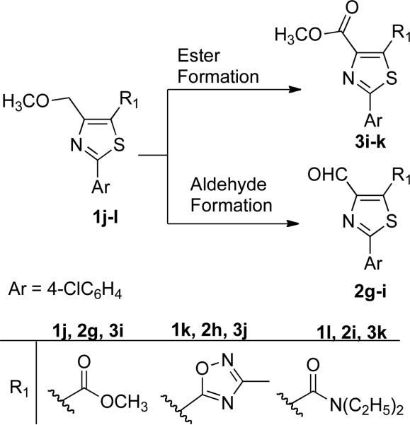 SCHEME 3