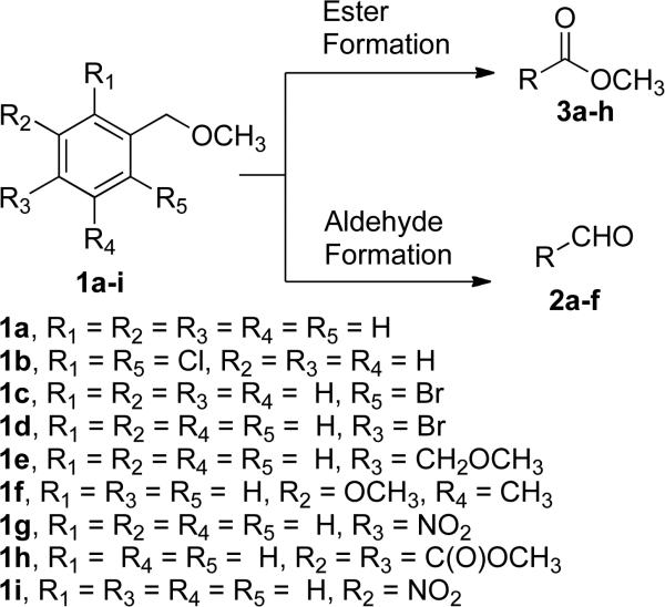 SCHEME 2