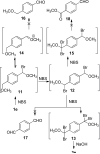 SCHEME 4