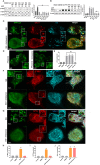 Fig. 7.