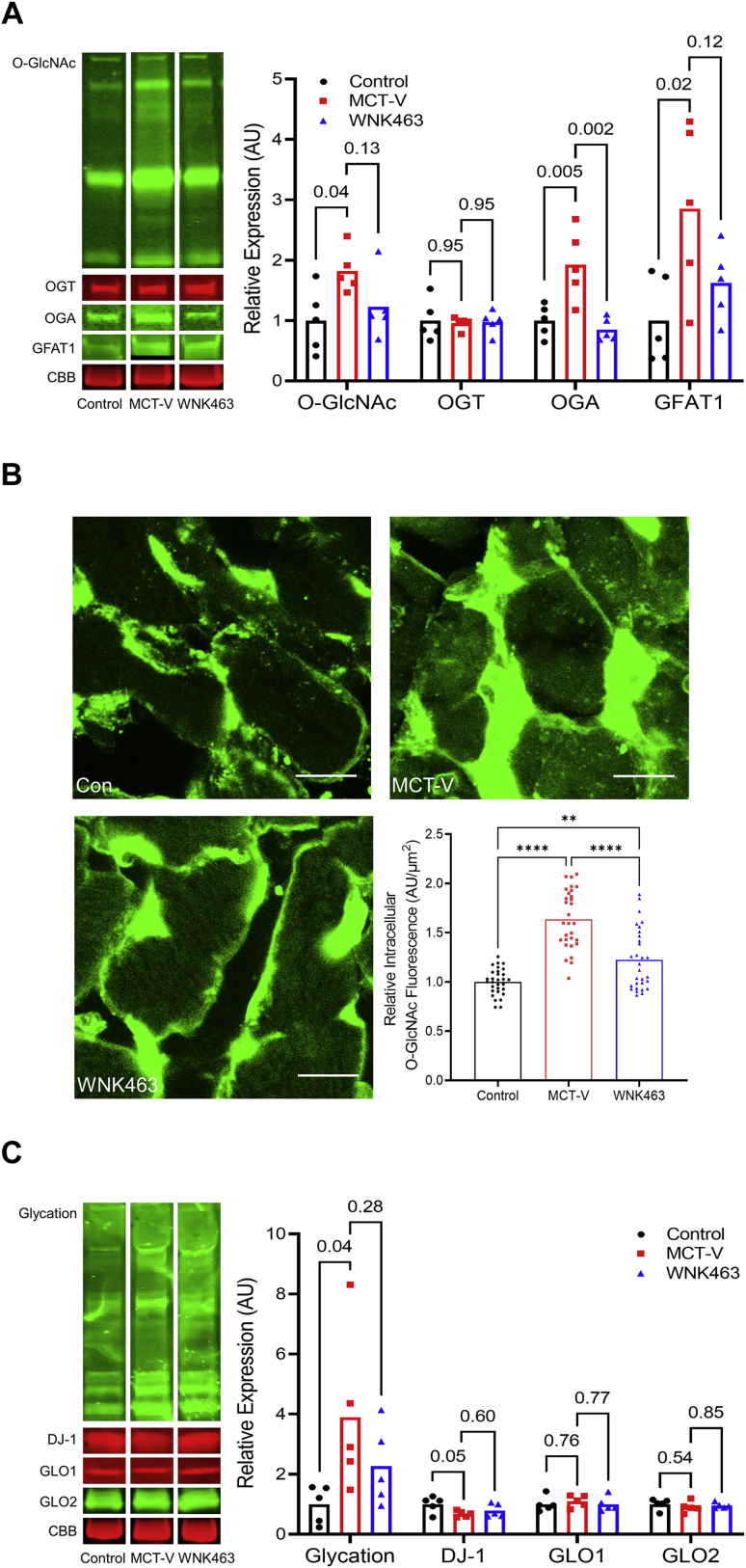 Figure 2