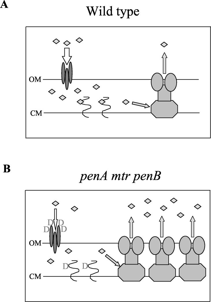 FIG. 1.