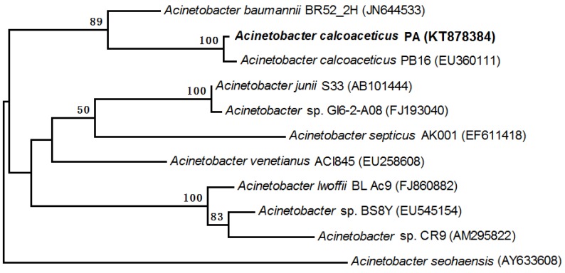 Figure 2